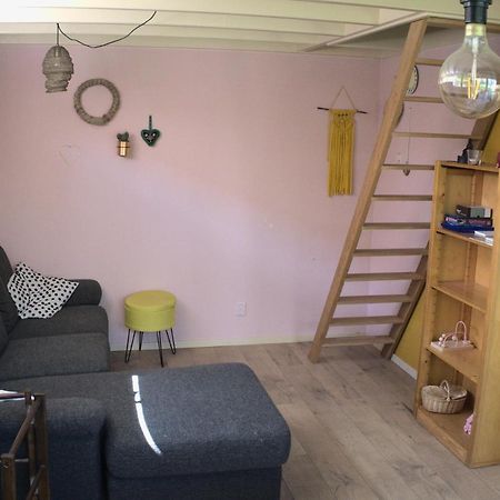 Small, Cute And Cozy Little Holiday Home Hippolytushoef Exterior foto